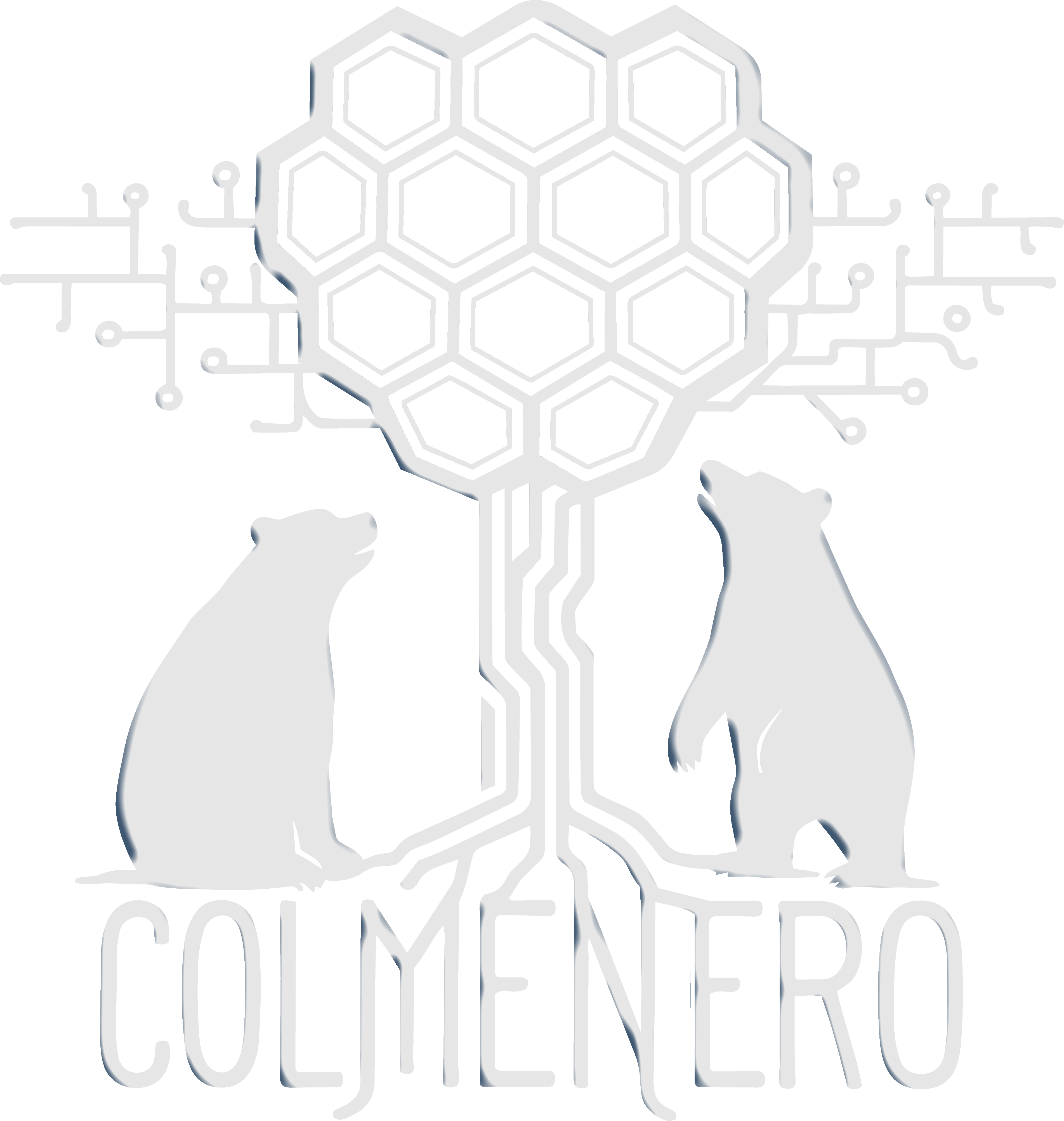 Colmenero Consultoría Estratégica de Marketing Digital